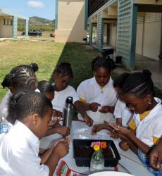 Students at the seed station learning how to plant flowers and snap beans.